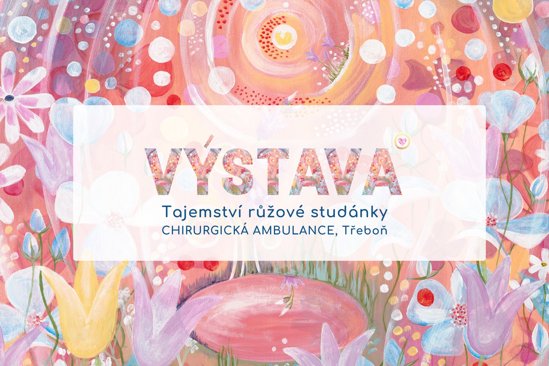 Výstava v Chirurgické ambulanci
