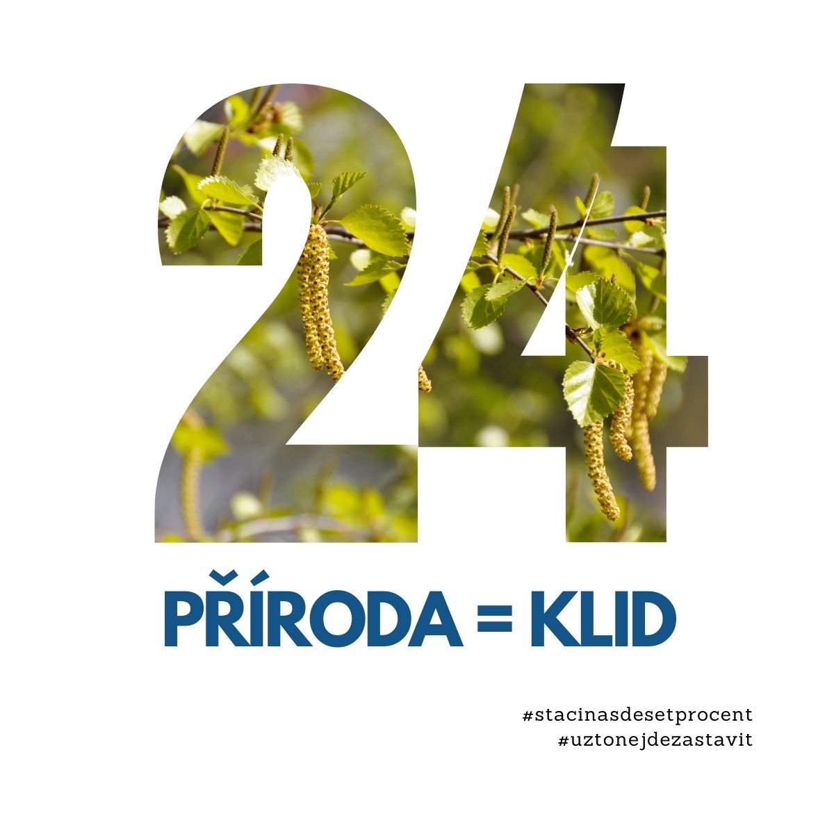 24. den: Příroda = Klid