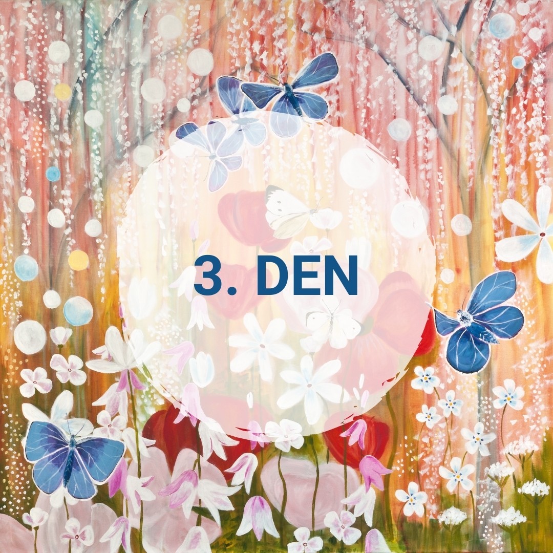 3.den: Meditace pro nemocné a pomocníky